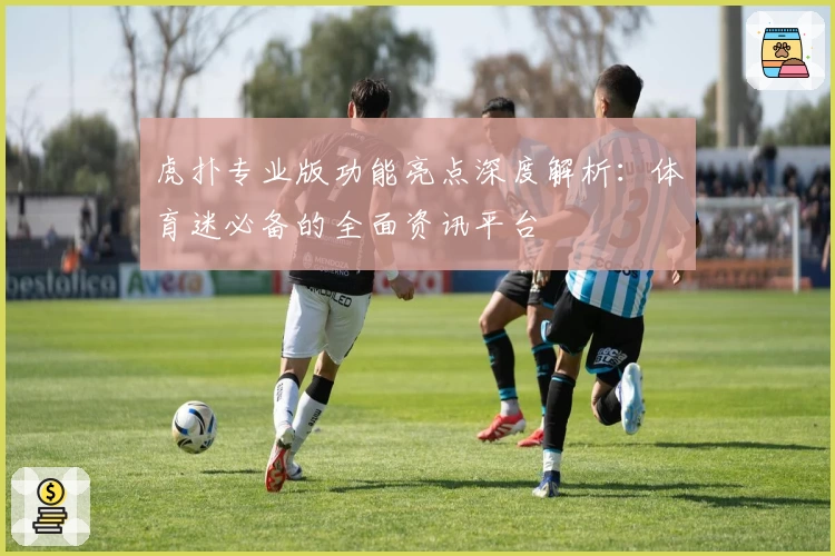 虎扑专业版功能亮点深度解析：体育迷必备的全面资讯平台