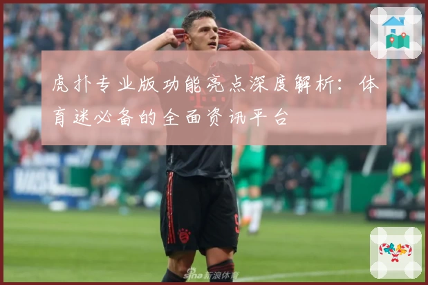虎扑专业版功能亮点深度解析：体育迷必备的全面资讯平台