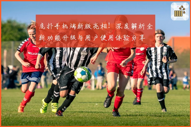 虎扑手机端新版亮相！深度解析全新功能升级与用户使用体验分享