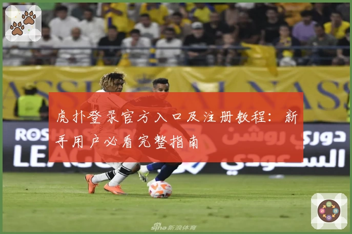 虎扑登录官方入口及注册教程：新手用户必看完整指南